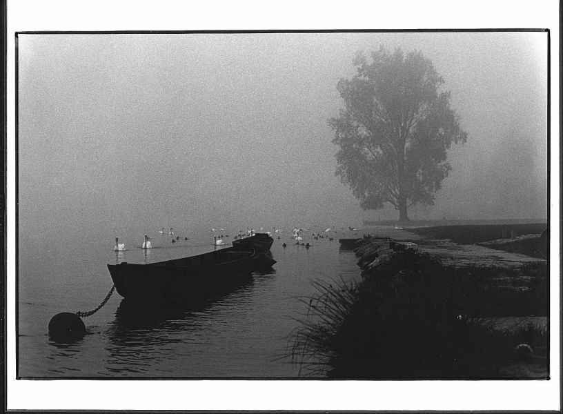 Fischerboot im Nebel, Neckar