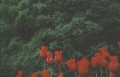 tulpen-vorgruen